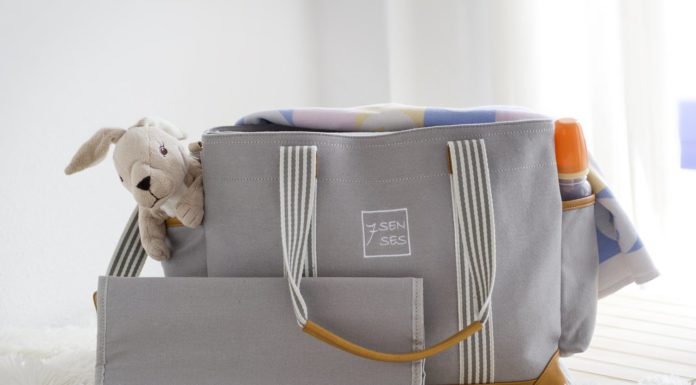 best twin diaper bags